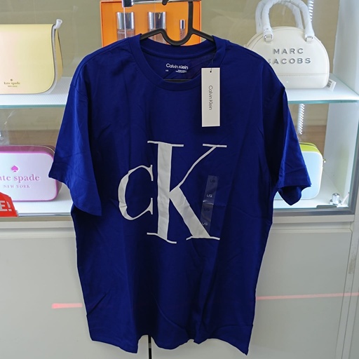 Calvin Klein T-shirt Large (Blue) 